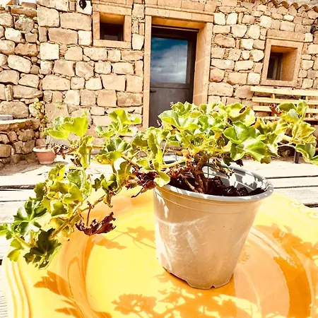Casetta Girasole Holiday home *